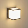 BUCKAU Outdoor Wall Light LED anthracite, white, 1-light source