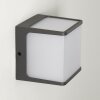 BUCKAU Outdoor Wall Light LED anthracite, white, 1-light source