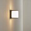 BUCKAU Outdoor Wall Light LED anthracite, white, 1-light source