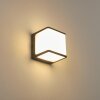 BUCKAU Outdoor Wall Light LED anthracite, white, 1-light source