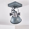 Gudo Ceiling Light grey, silver, 1-light source