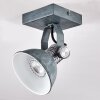 Gudo Ceiling Light grey, silver, 1-light source