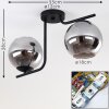 Cayuta Ceiling Light black, 2-light sources