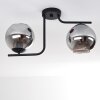 Cayuta Ceiling Light black, 2-light sources
