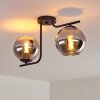 Cayuta Ceiling Light black, 2-light sources