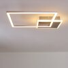 Chilkat Ceiling Light LED matt nickel, 1-light source
