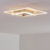 Chilkat Ceiling Light LED matt nickel, 1-light source