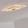 Chilkat Ceiling Light LED matt nickel, 1-light source