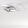 Chilkat Ceiling Light LED matt nickel, 1-light source