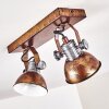 Gudo Ceiling Light brown, bronze, 2-light sources