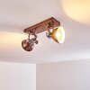 Gudo Ceiling Light brown, bronze, 2-light sources