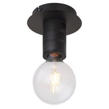 Globo HERMINE Ceiling Light black, 1-light source