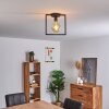 GUINAN Ceiling Light grey, black, 1-light source