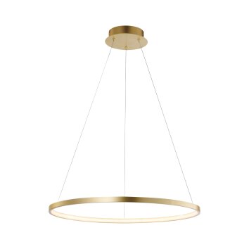 Pendant Light Leuchten Direkt CIRCLE LED gold, 1-light source