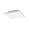 Paul Neuhaus Q-FLAG Ceiling light LED white, 1-light source, Remote control, Colour changer