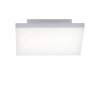 Paul Neuhaus Q-FLAG Ceiling light LED white, 1-light source, Remote control, Colour changer