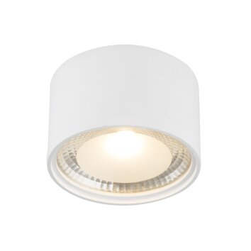 Globo SERENA Ceiling Light LED white, 1-light source