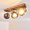 Ceiling Light Glostrup brown, stainless steel, 3-light sources