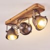 Ceiling Light Glostrup brown, stainless steel, 3-light sources