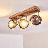 Ceiling Light Glostrup brown, stainless steel, 3-light sources