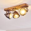Ceiling Light Glostrup brown, stainless steel, 3-light sources