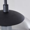 Agropoli Pendant Light smoke coloured, black, 1-light source