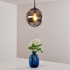 Agropoli Pendant Light smoke coloured, black, 1-light source