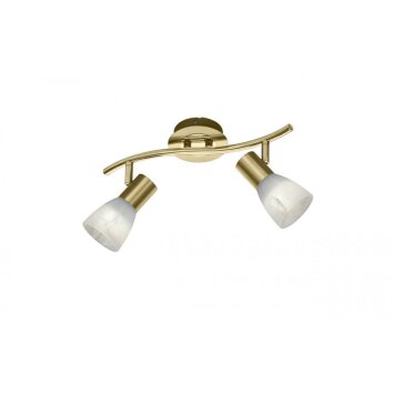 Trio LEVISTO ceiling spotlight LED brass, 2-light sources
