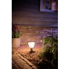 Philips HUE AMBIANCE WHITE & COLOR ECONIC pedestal light LED black, 1-light source, Colour changer