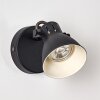 SALINAS Wall Light black, 1-light source