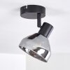 Ceiling Light Tyksov black, 1-light source