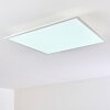 Antria Ceiling Light LED white, 1-light source, Colour changer