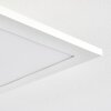 Antria Ceiling Light LED white, 1-light source, Colour changer
