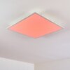 Antria Ceiling Light LED white, 1-light source, Colour changer