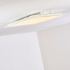 Antria Ceiling Light LED white, 1-light source, Colour changer