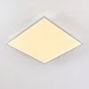 Antria Ceiling Light LED white, 1-light source, Colour changer