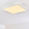 Antria Ceiling Light LED white, 1-light source, Colour changer