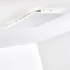 Antria Ceiling Light LED white, 1-light source, Colour changer
