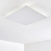 Antria Ceiling Light LED white, 1-light source, Colour changer