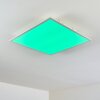Antria Ceiling Light LED white, 1-light source, Colour changer