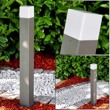Outdoor floor lamp Algier LED anthracite, 1-light source