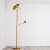 CAZIS Floor Lamp LED brass, 1-light source