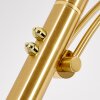 CAZIS Floor Lamp LED brass, 1-light source