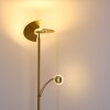 CAZIS Floor Lamp LED brass, 1-light source
