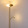 CAZIS Floor Lamp LED brass, 1-light source