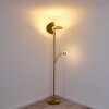 CAZIS Floor Lamp LED brass, 1-light source