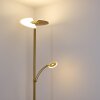 CAZIS Floor Lamp LED brass, 1-light source