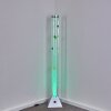 Wanas Floor Lamp LED titanium, 1-light source, Colour changer