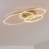 Chilkat Ceiling Light LED matt nickel, 1-light source