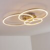 Chilkat Ceiling Light LED matt nickel, 1-light source